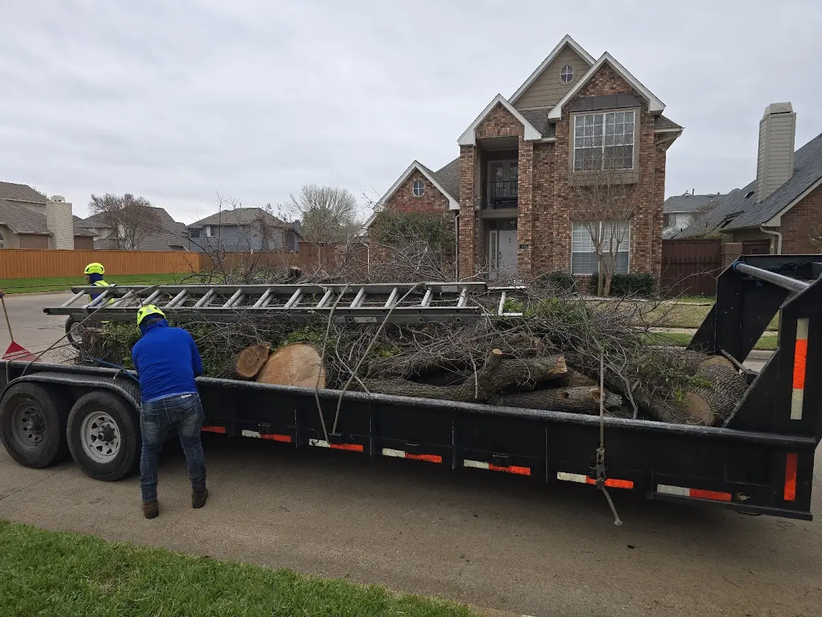 Expert Tree Fertilization with proper safety equipment in Columbiana